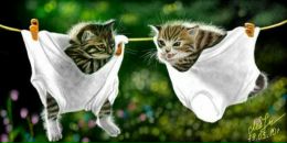 Юлія Добровольська фотография #9 (источник - https://vk.com/id71922917)