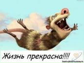 Фотография Белко Алексея