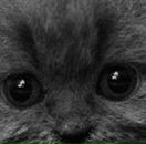 Олеся Матвійчук фотография #13 (источник - https://vk.com/id50923906)