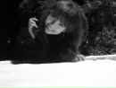 Юлія Бабурець фотография #11 (источник - https://vk.com/id162515024)