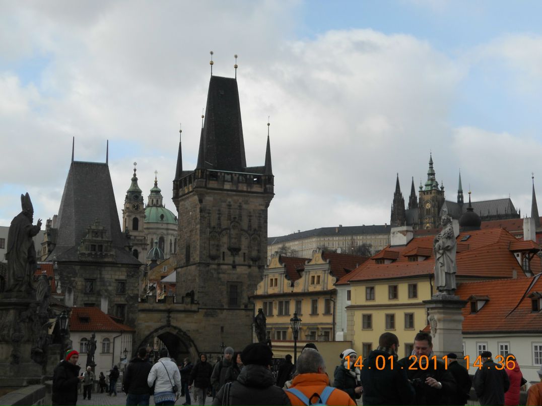 Сергей Никульцев фотография #17