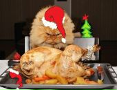 Фотография Лопатина Семёна