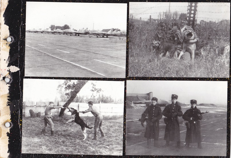 Николай Козлов фотография #33