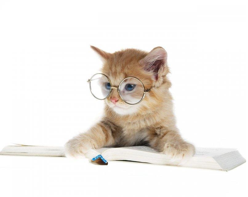 Оля Ля фотография #1