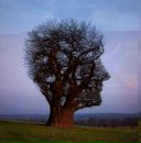 Фотография Яценюка Сергея