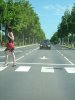  фотография #19