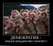  фотография #13