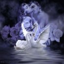 Маріана Маточка фотография #19 (источник - https://vk.com/id19755599)