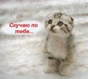 Катюха Прошошкина фотография #32 (источник - https://vk.com/id49381707)