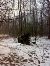 Мария Черненко фотография #10 (источник - https://vk.com/id1372515)