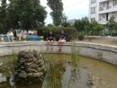 Міша Самардак фотография #48 (источник - https://vk.com/id20217914)