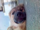 Нова Сторінка фотография #16 (источник - https://vk.com/id19093490)