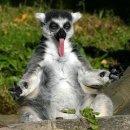 Фотография Твердохлебова Виталия