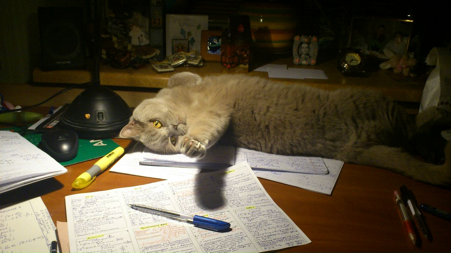 Анна Кобзарь фотография #16