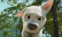 Ваня Бабєла фотография #50 (источник - https://vk.com/id41556385)