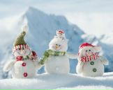 Фотография Лаговской Ольги