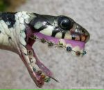 Фотография Елизарова Александра