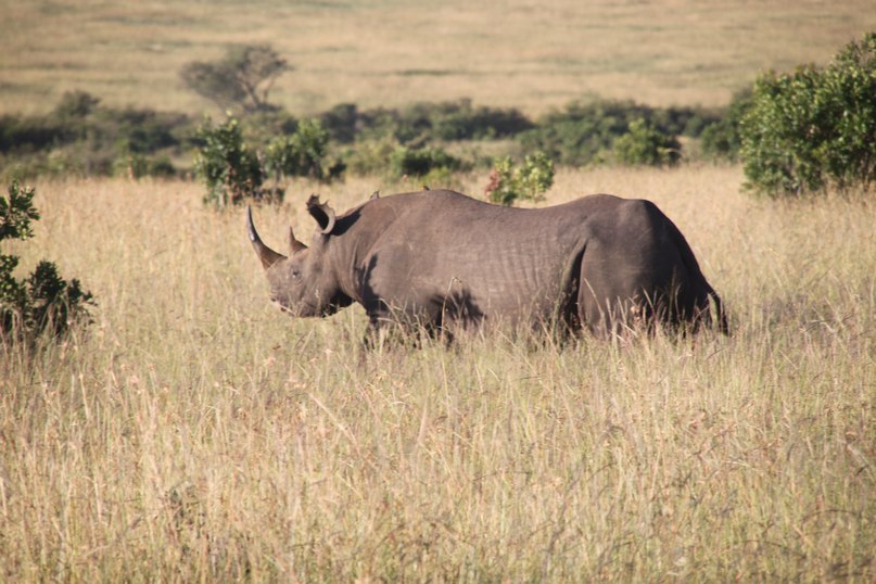 Oguz Saka фотография #28