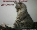 Анна Поліщук фотография #10 (источник - https://vk.com/id228214734)