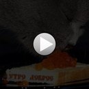 Іра Дяковська фотография #48 (источник - https://vk.com/id137411715)