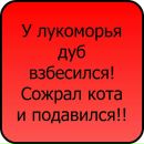 Тарас Бабій фотография #24 (источник - https://vk.com/id115009585)