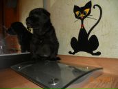 Фотография Ошеева Андрея