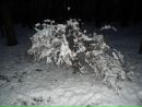 Санек Цуркан фотография #9 (источник - https://vk.com/id166265612)