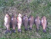 Андрій Мазур фотография #44 (источник - https://vk.com/id76272170)