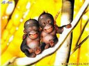 Фотография Горячевой Анны