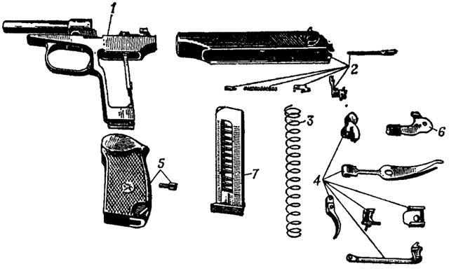 Ели Антон фотография #38