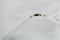 Фотография Журавлевой Анюты