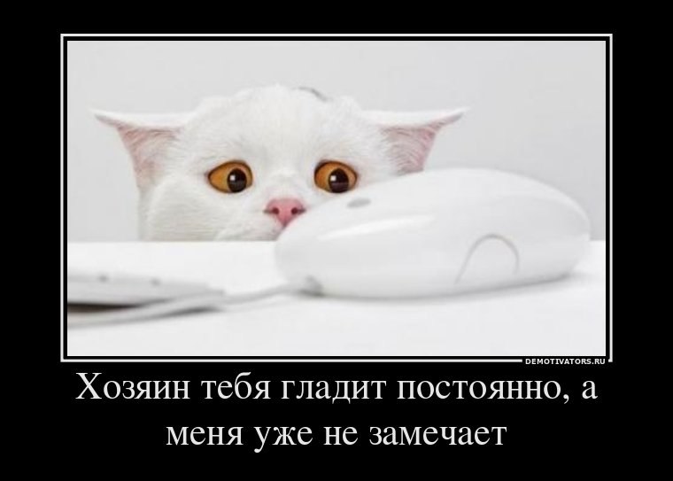 Игорь Будник фотография #30
