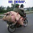 Ігор Дрига фотография #16 (источник - https://vk.com/id150972182)