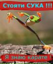 Іван Козуб фотография #15 (источник - https://vk.com/id131830274)