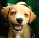 Фотография Смирнова Сергея