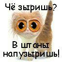 Галина Сафронів фотография #43 (источник - https://vk.com/id24086286)