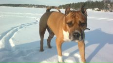 Фотография Пипченко Маргариты