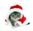 Фотография Киселевой Анны