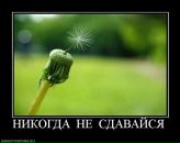 Ігор Тучапський фотография #39 (источник - https://vk.com/id54606116)