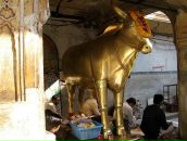 Игорь Ерохин фотография #20 (источник - https://vk.com/id1961268)