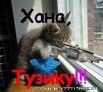 Фотография Смелого Alex