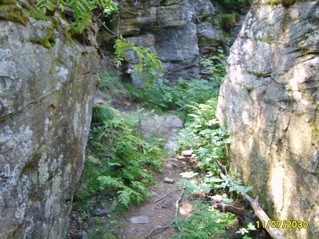 Евгений Трубицын фотография #33