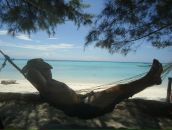 Фотография Шуйского Александра