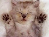 Фотография Андреева(юркова) Оксаны