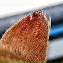 Фотография Максимовой Ксении