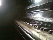 Фотография Мальцева Дмитрия