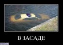 Євген Іщук фотография #40 (источник - https://vk.com/id8602212)