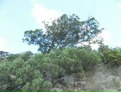 Віктор Копінський фотография #41 (источник - https://vk.com/id10115601)