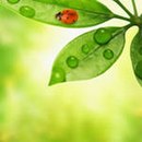 Фотография Липатовой Анны