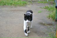 Константин Басалаев фотография #40 (источник - https://vk.com/id257097)